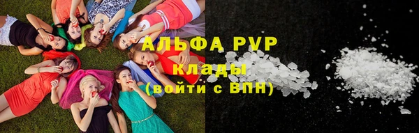 тгк Абаза