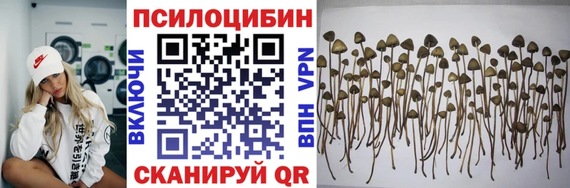 Галлюциногенные грибы MAGIC MUSHROOMS  закладки  Кимовск 